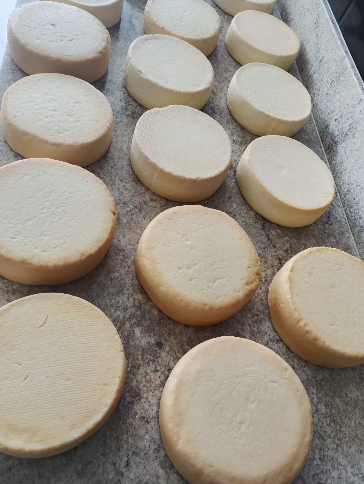 Peças de queijo Canastra artesanal